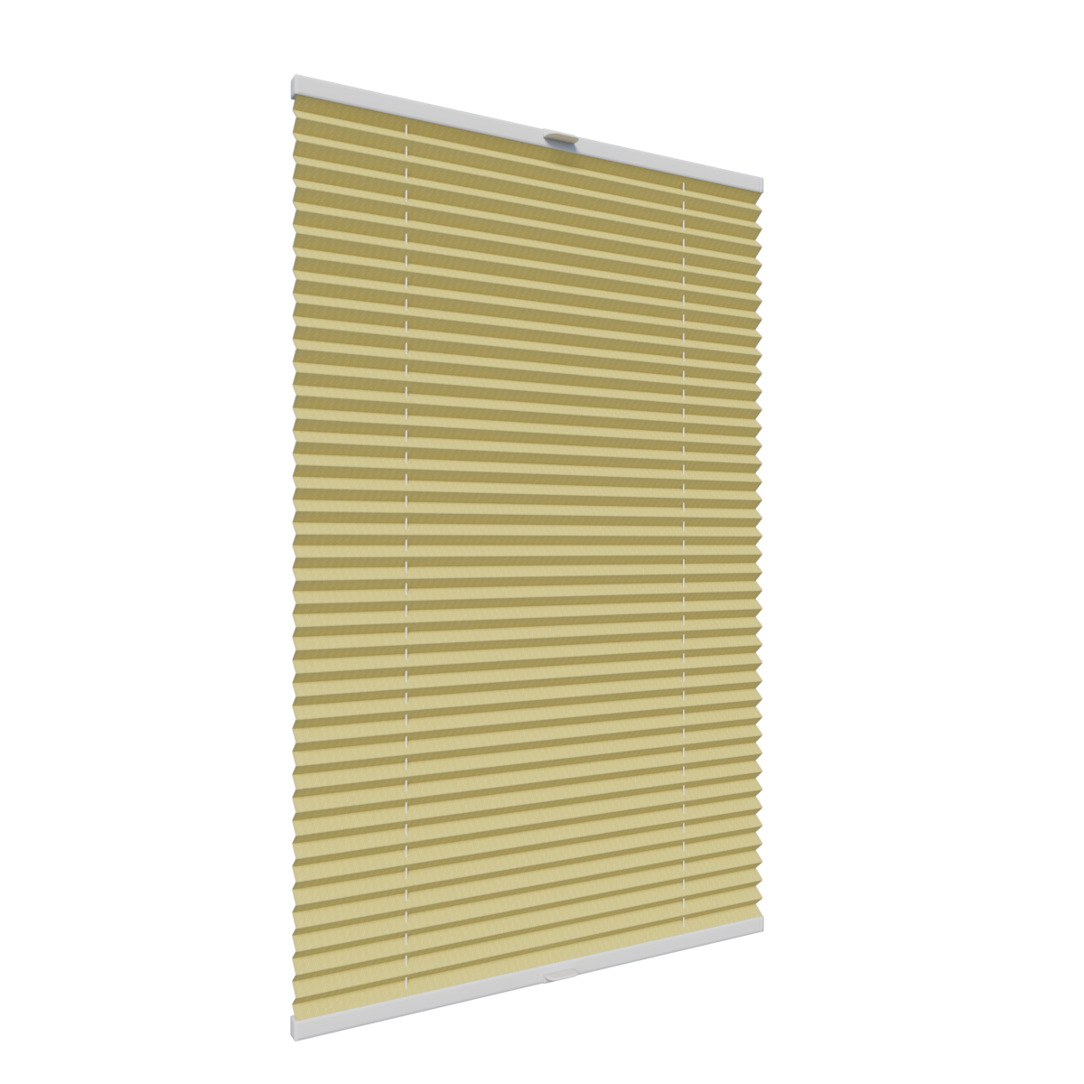 10. PLISY ZWYKŁE TOSCA PEARL 10466