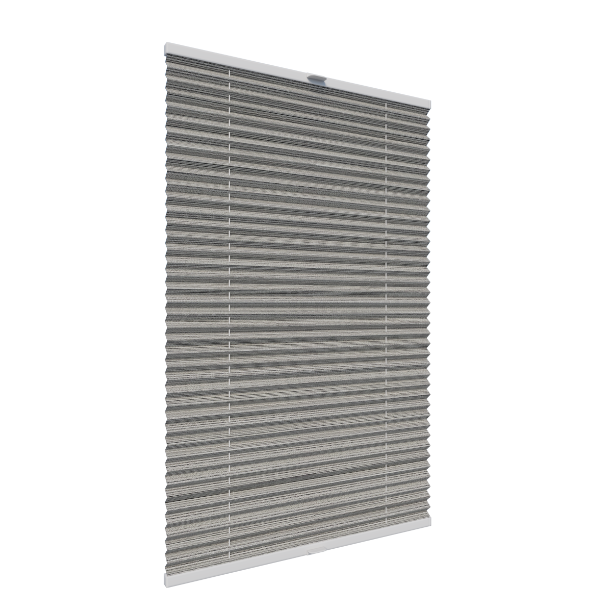 11. PLISY ZWYKŁE FIANO PEARL PR617