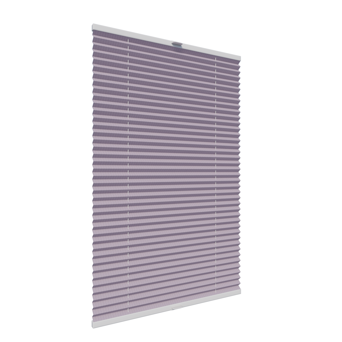 11. PLISY ZWYKŁE TOSCA PEARL 10468