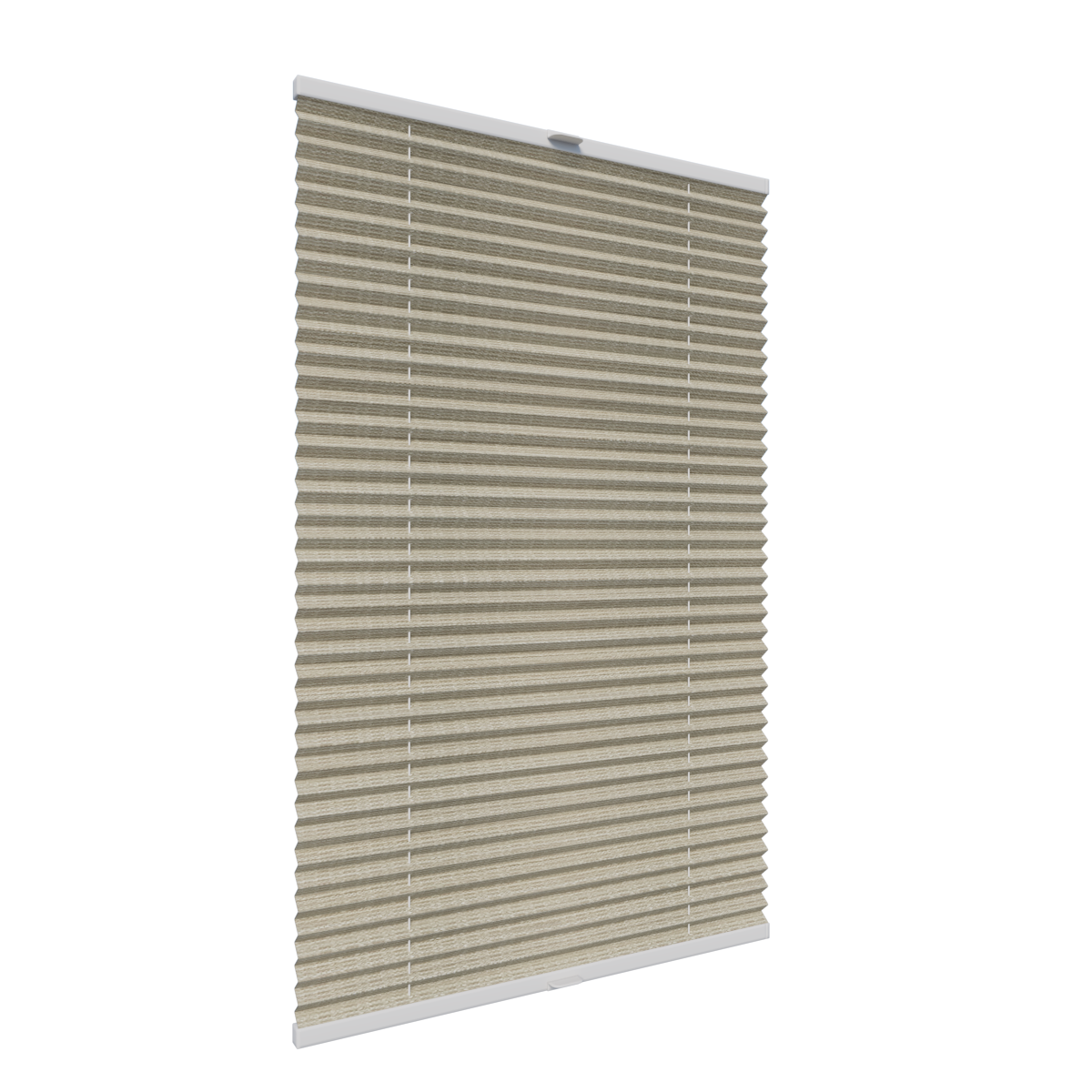 12. PLISY ZWYKŁE FIANO PEARL PR620