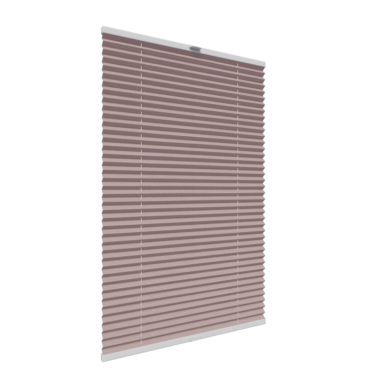 14. PLISY ZWYKŁE ALLEGRA PEARL 10792