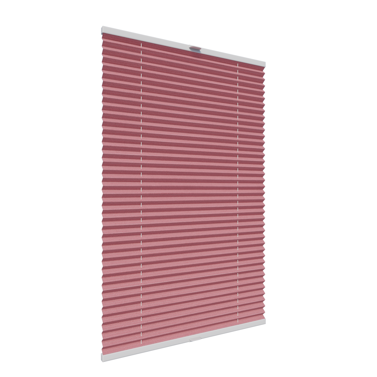 16. PLISY ZWYKŁE ALLEGRA PEARL 10794