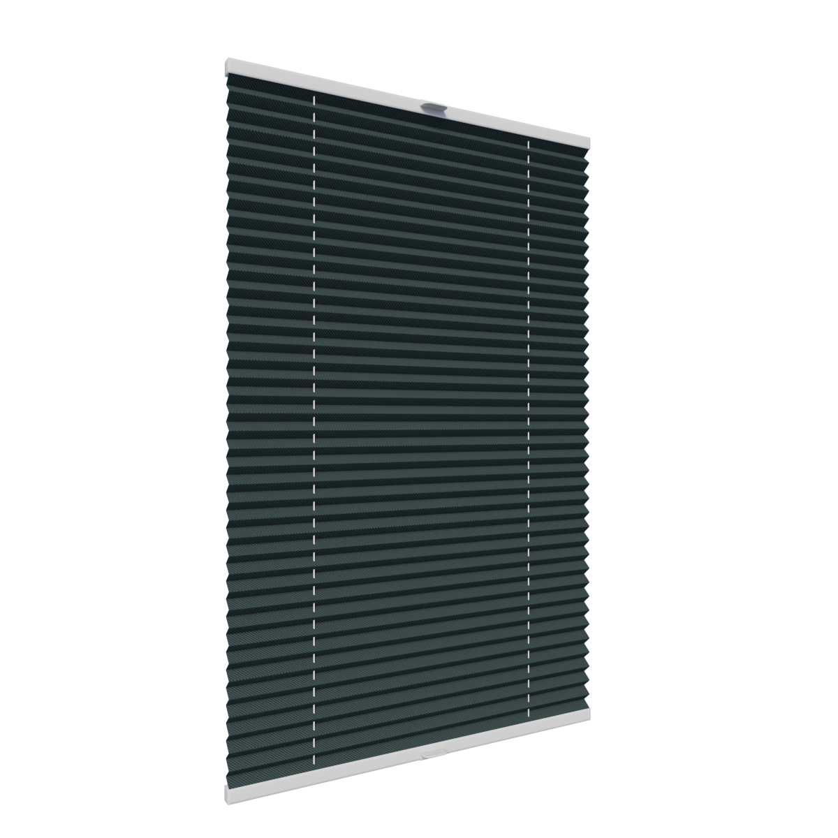 19. PLISY ZWYKŁE MOON BLACKOUT 10656