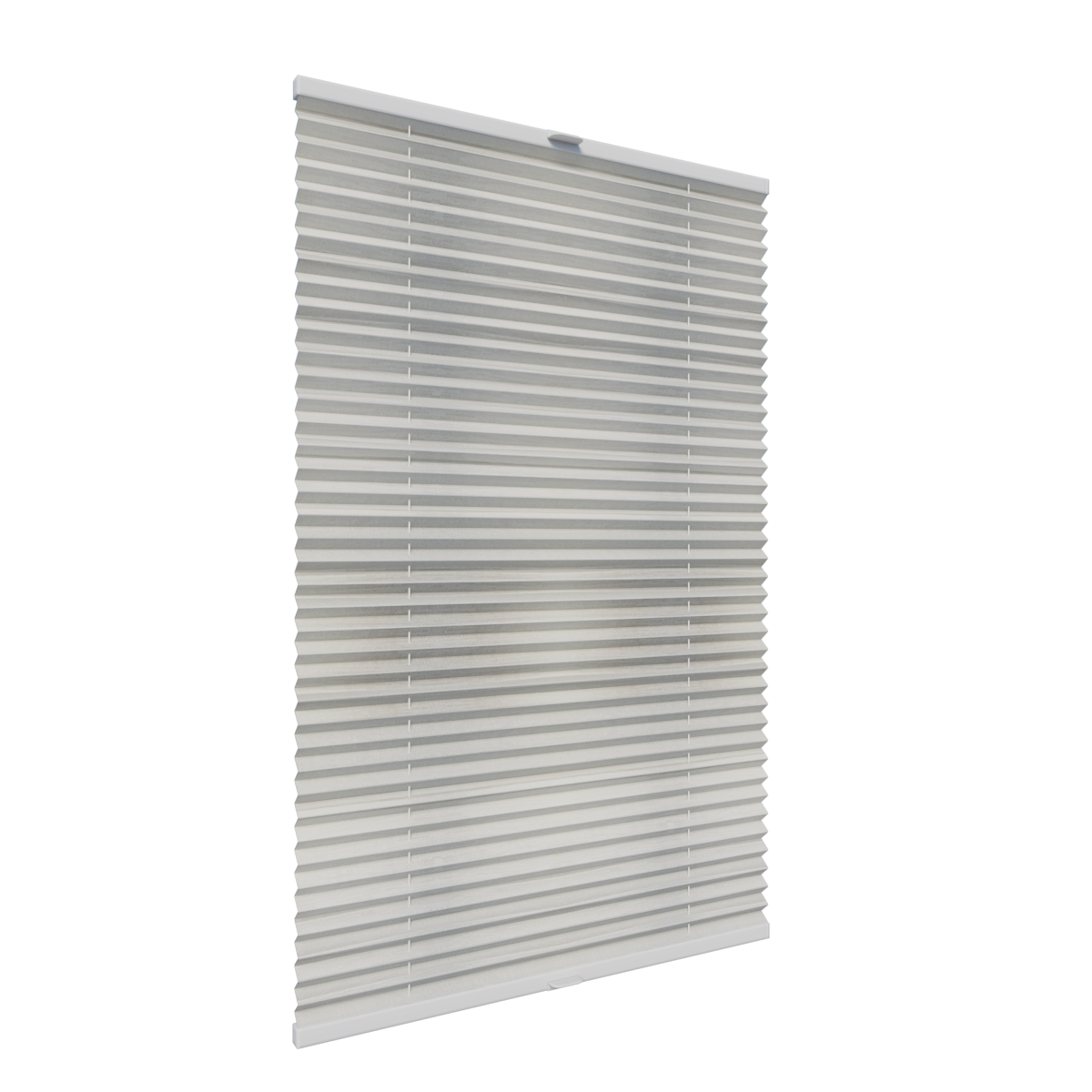 2. PLISY ZWYKŁE LISAO PEARL 1451