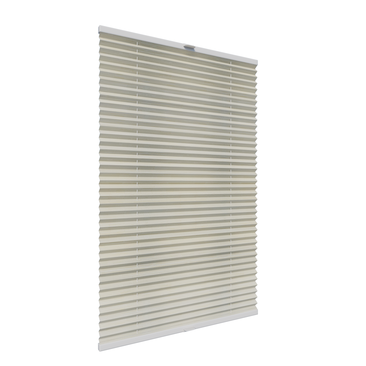 2. PLISY ZWYKŁE MANILA PEARL 8981