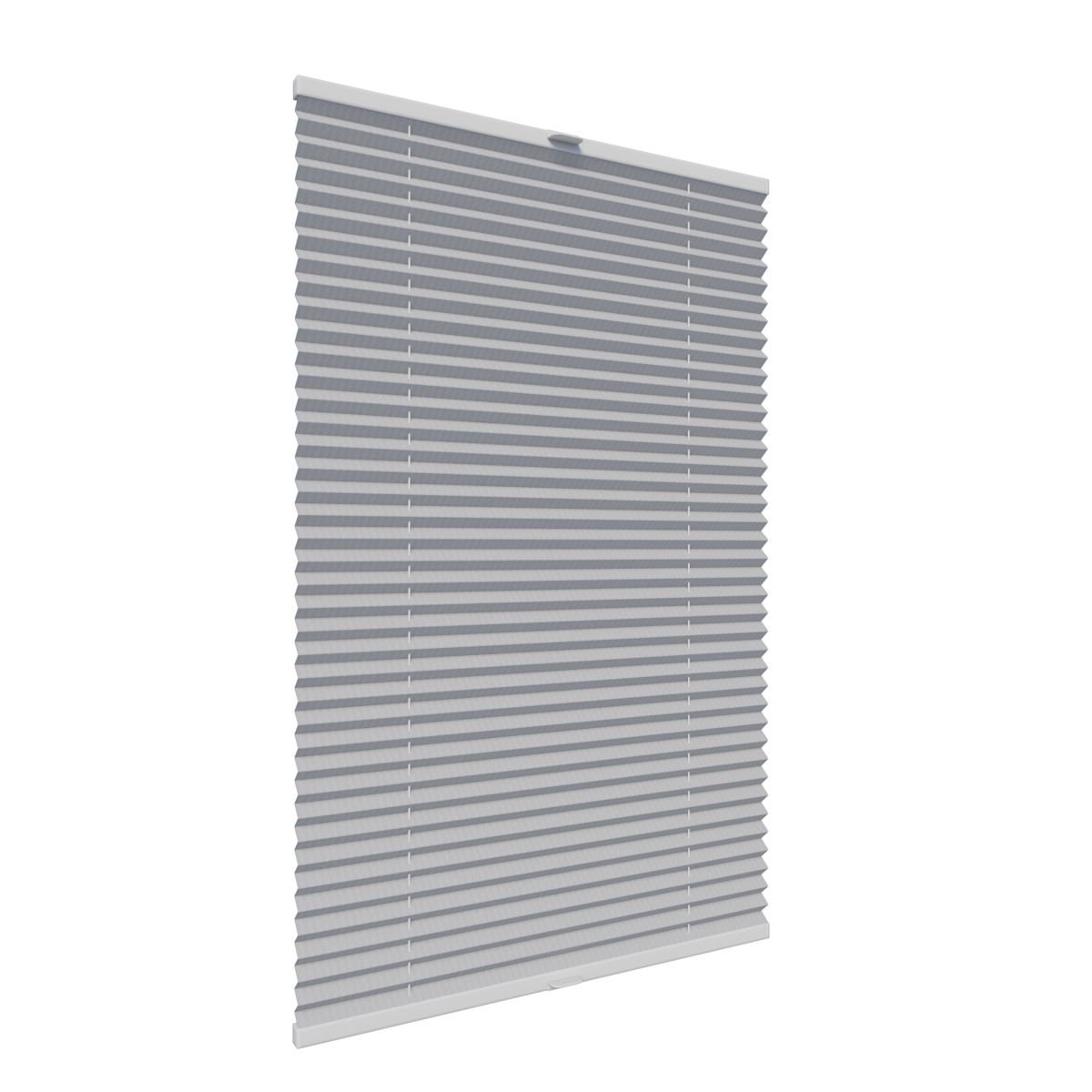 2. PLISY ZWYKŁE TOSCA PEARL 6736