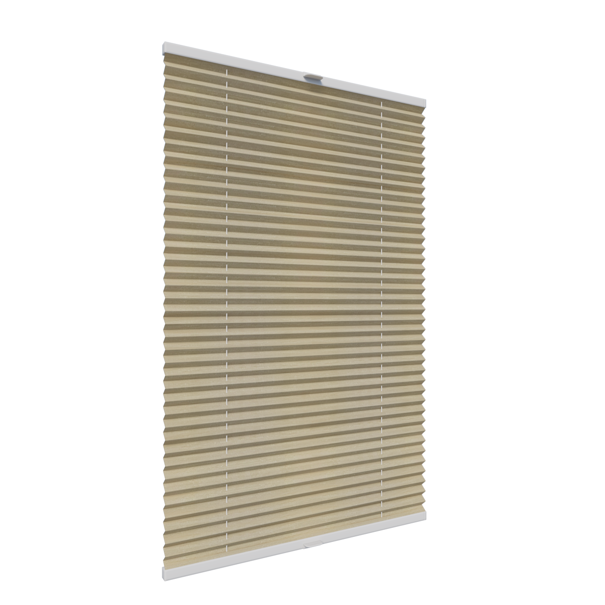 3. PLISY ZWYKŁE BAHAI 5022