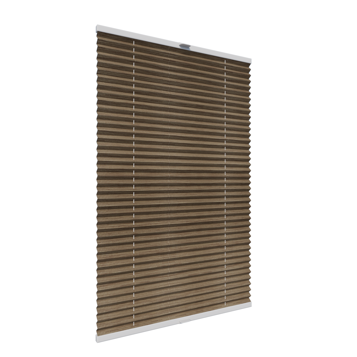 3. PLISY ZWYKŁE FIANO P603