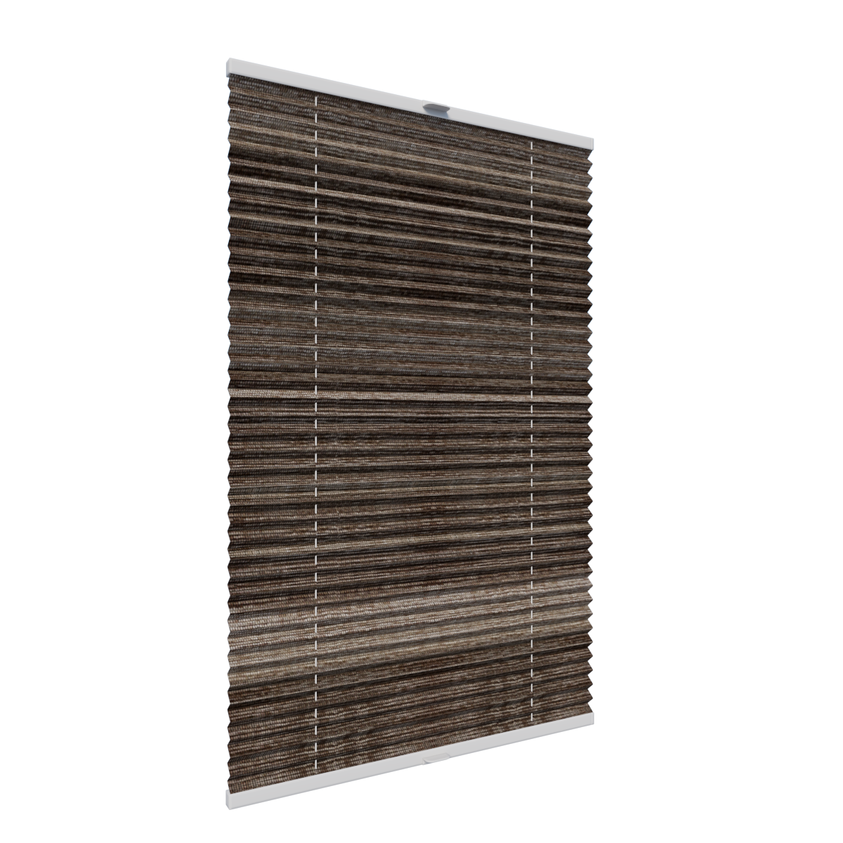 3. PLISY ZWYKŁE LUZON 8455