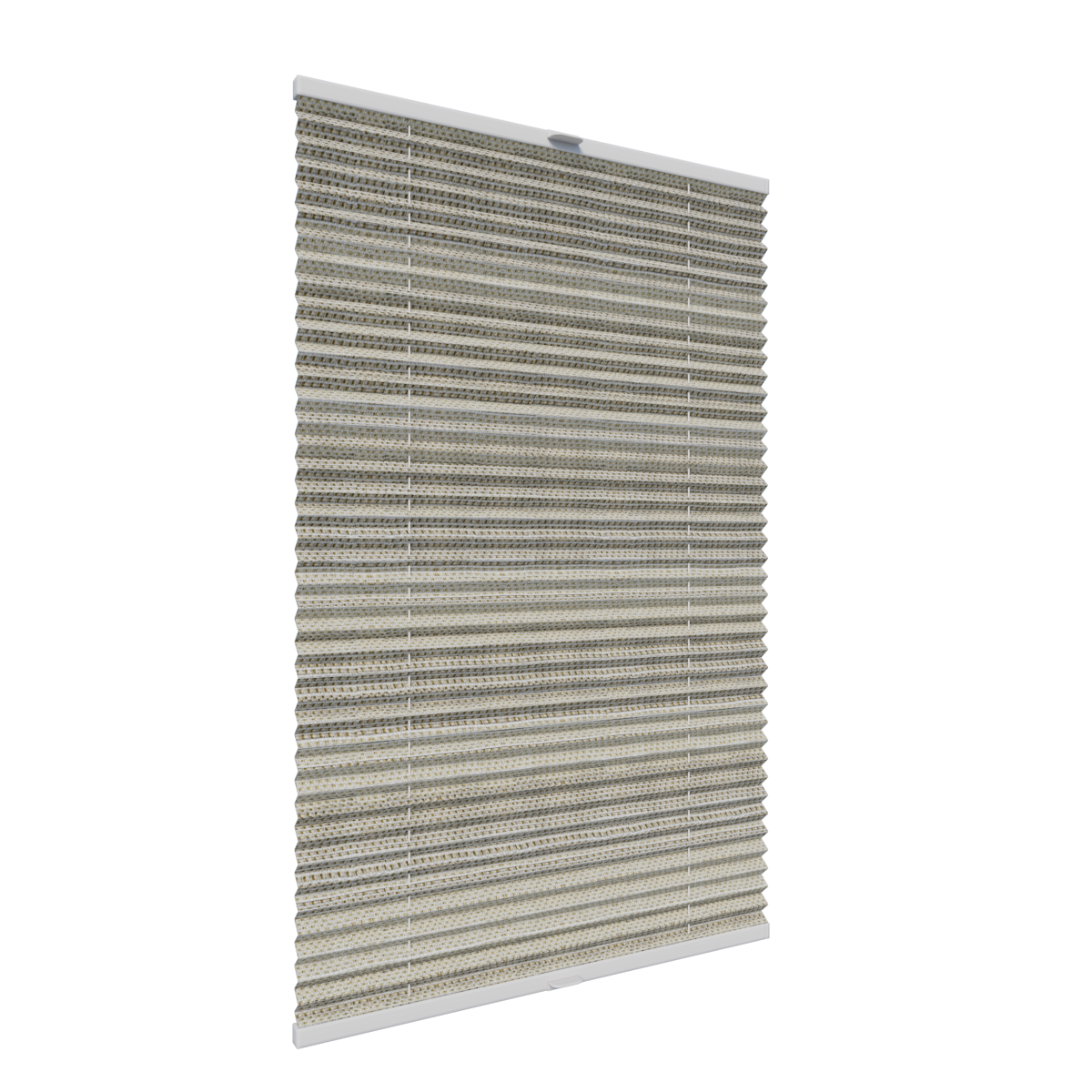 3. PLISY ZWYKŁE RANELIA 8152