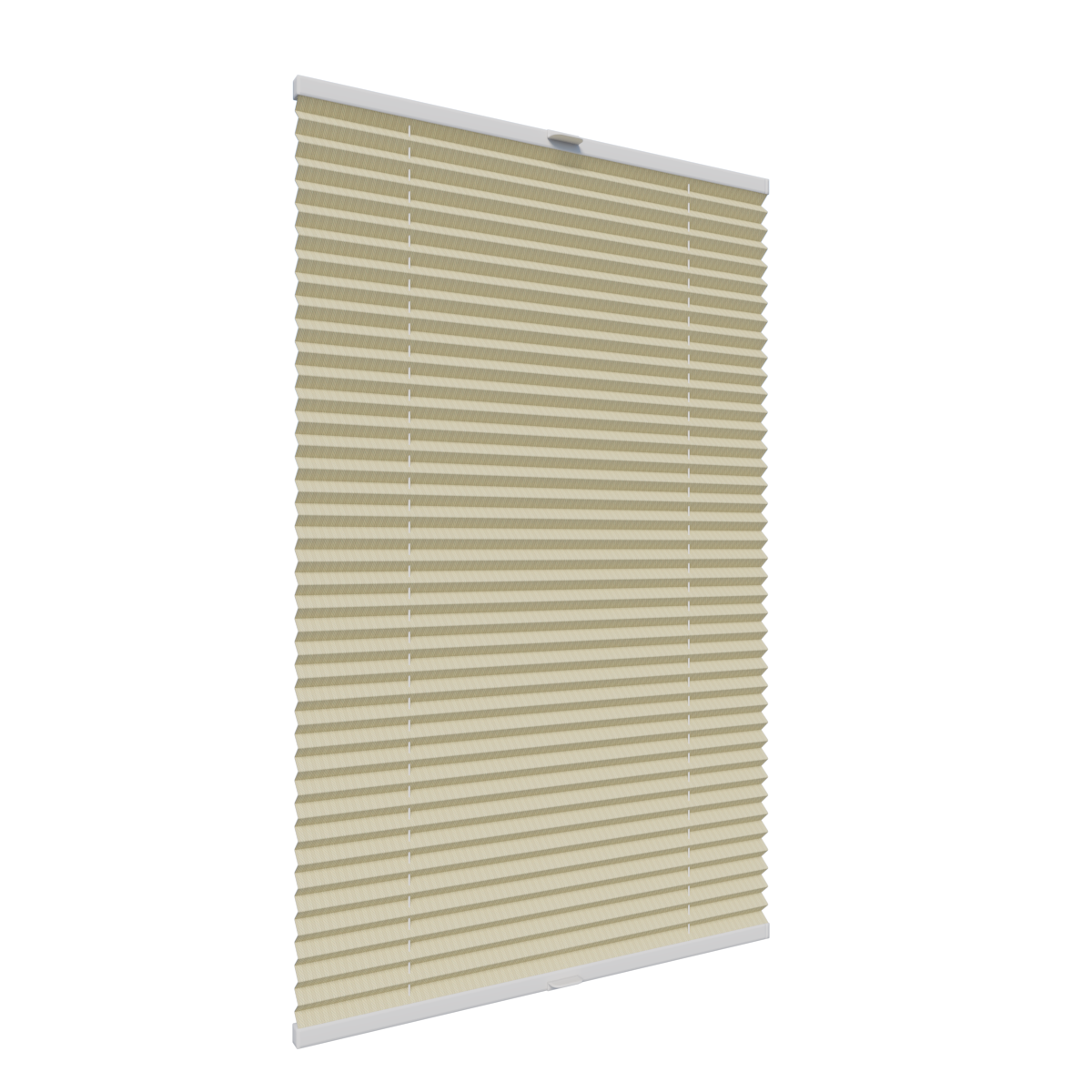 3. PLISY ZWYKŁE STRISCA P3