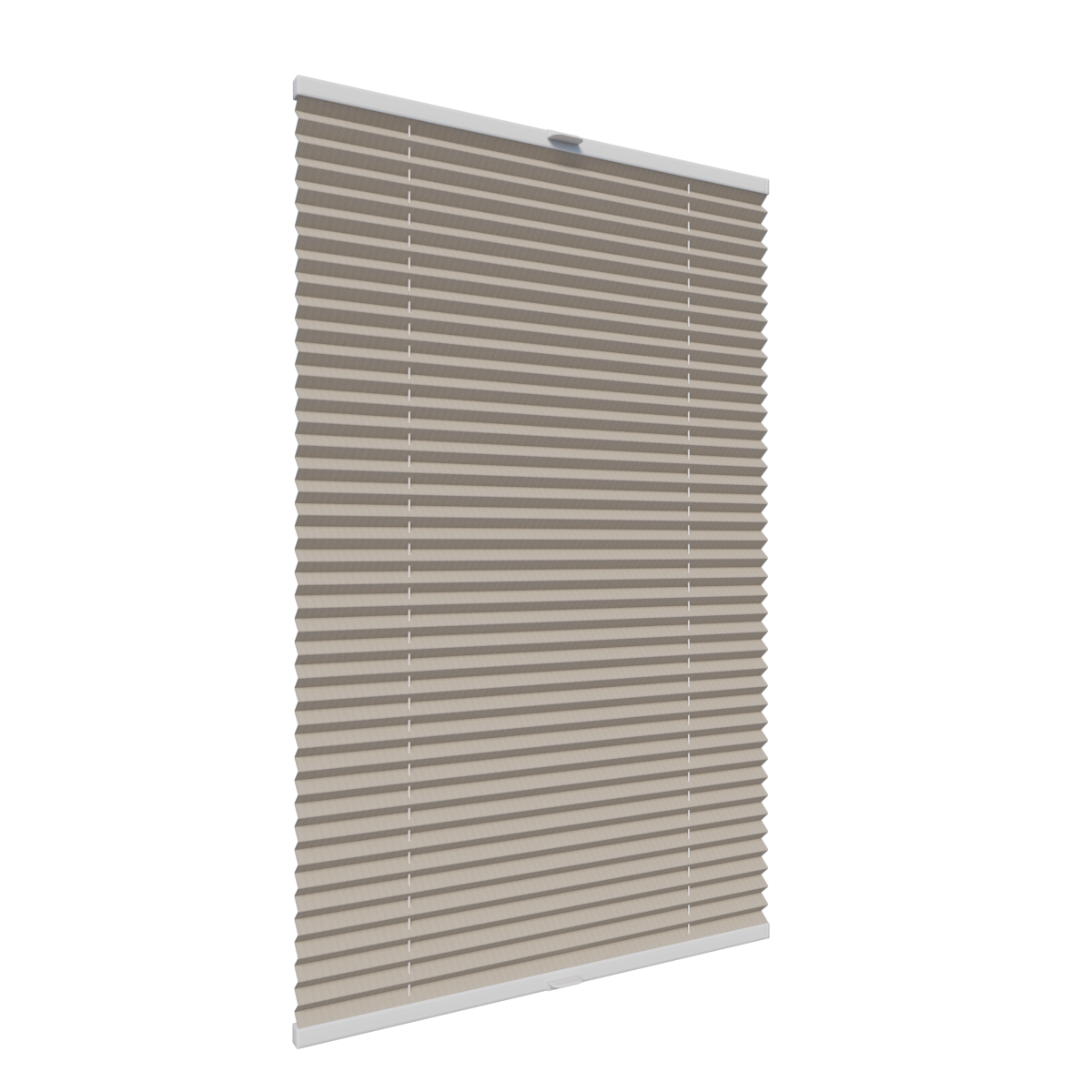 4. PLISY ZWYKŁE STRISCA P4