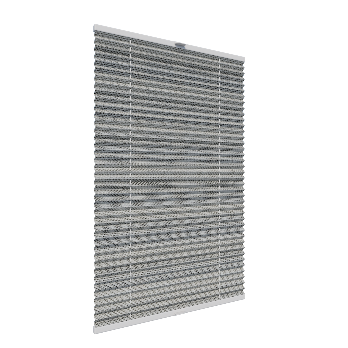 5. PLISY ZWYKŁE RANELIA 8154