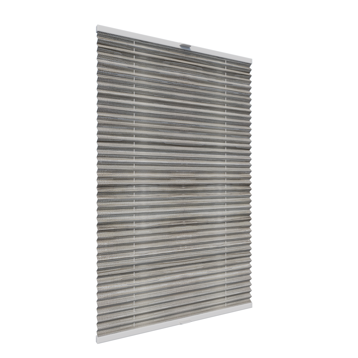 5. PLISY ZWYKŁE SARI 6764