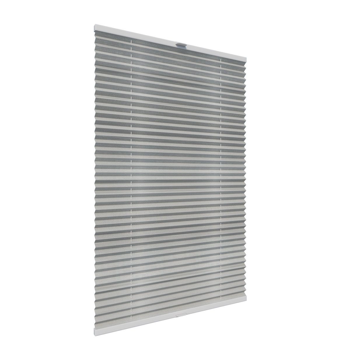 6. PLISY ZWYKŁE LISAO PEARL 1455