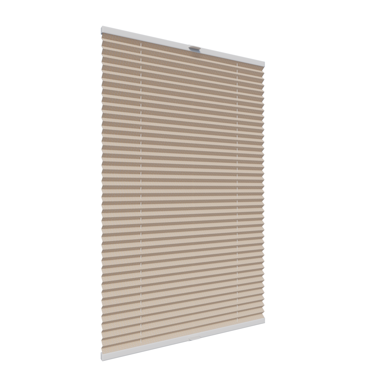 7. PLISY ZWYKŁE STRISCA P7