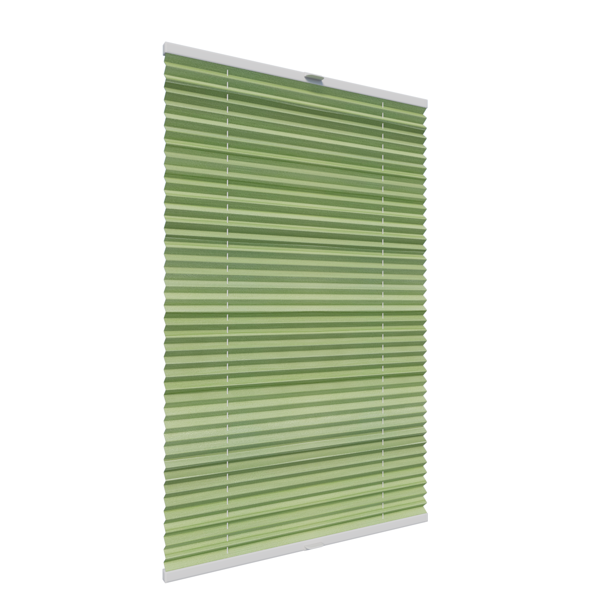 9. PLISY ZWYKŁE AGAVE PEARL 11170