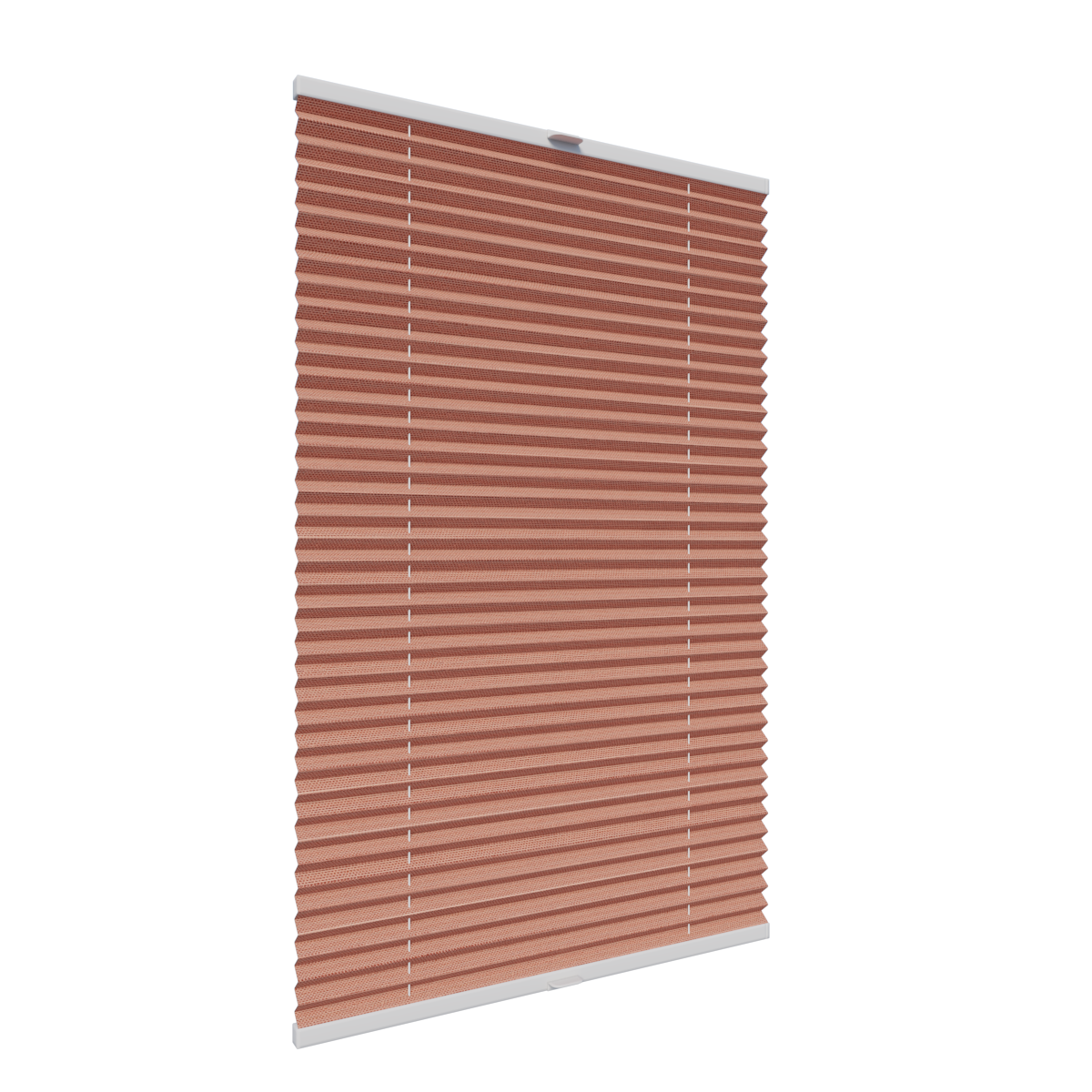 9. PLISY ZWYKŁE ALLEGRA PEARL 10458