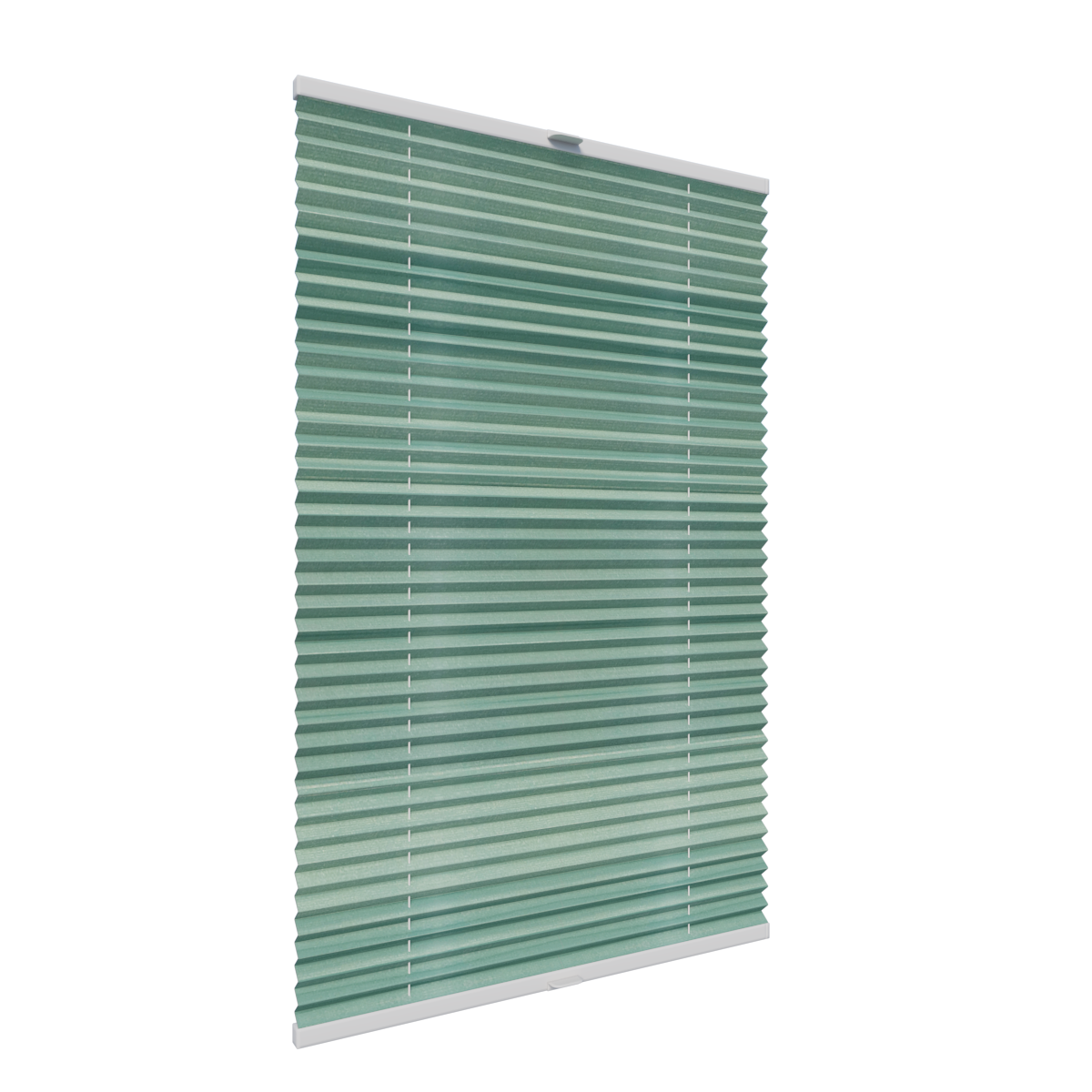 9. PLISY ZWYKŁE LISAO PEARL 1463