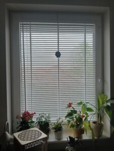 IMG20260507175219